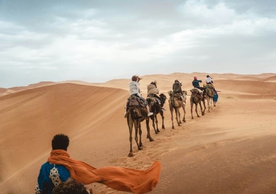 photo du desert