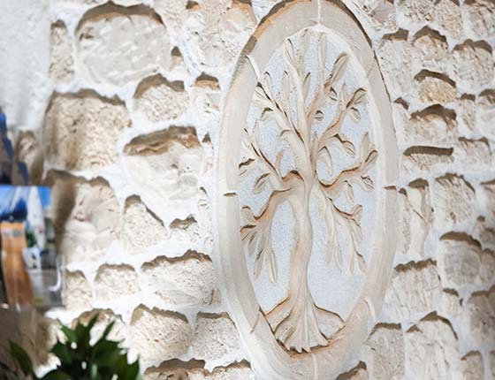 Motif d'arbre gravé dans la pierre blanchie