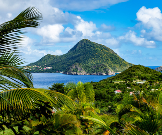 vue aérienne de la Guadeloupe avec les colines arborées et les maisons aux toits rouges et aux murs blancs et l'eau à perte de vue