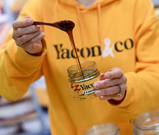 yacon & co