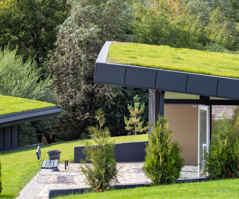 maison avec de la verdure