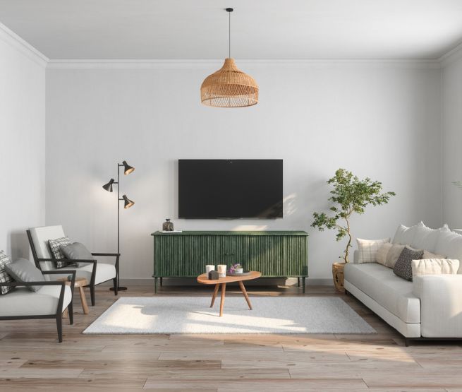 salon design avec meuble tv vert
