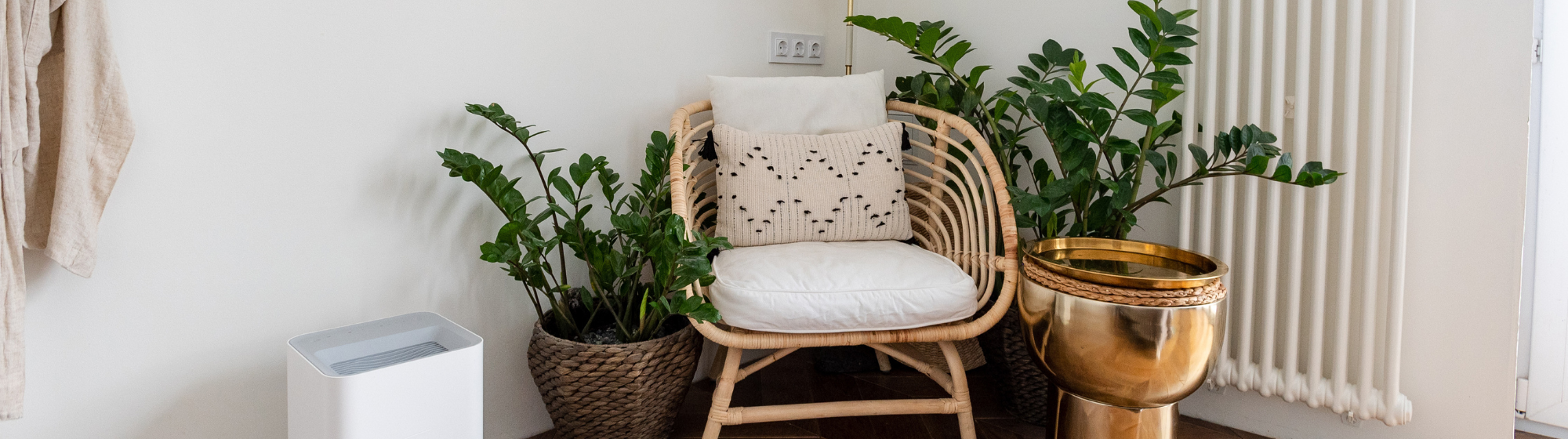 salon tendance 