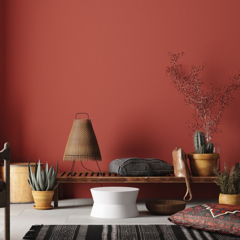 Intérieur avec un mur rouge et des plantes décoratives, style épuré et chaleureux